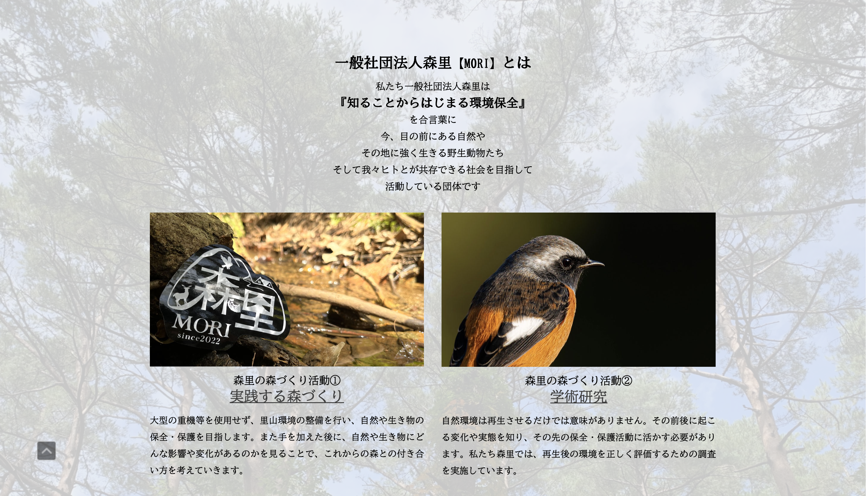 一般社団法人 森里