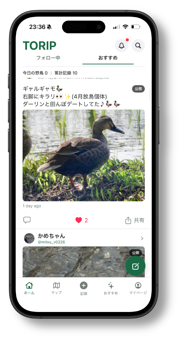 TORIPホーム画面