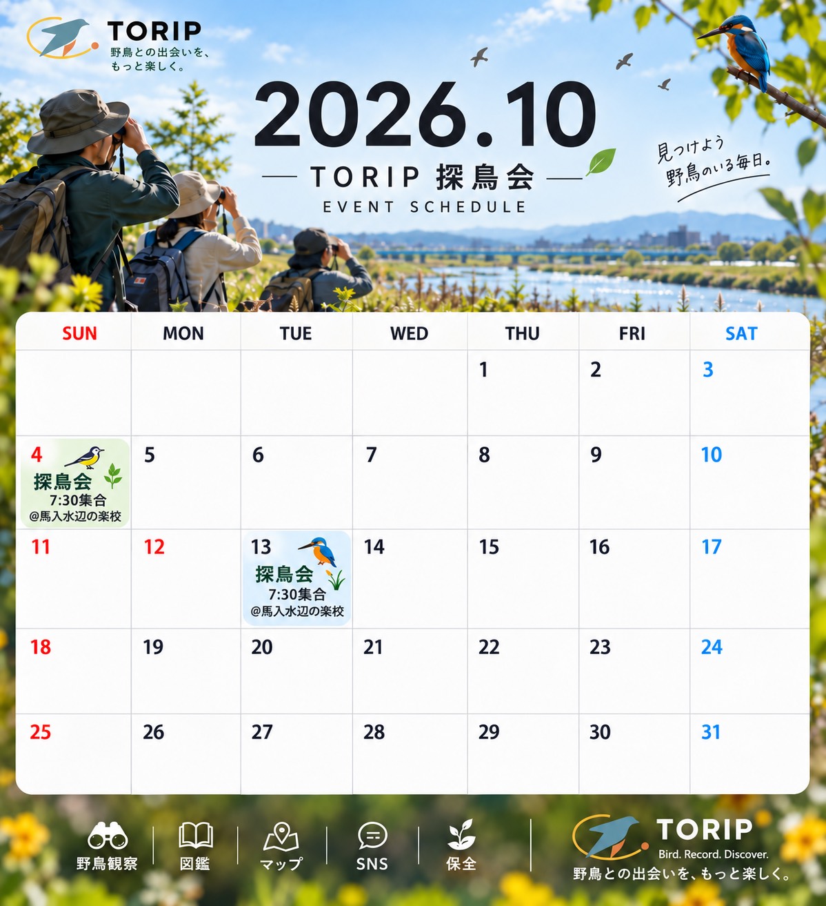 TORIP探鳥会 2026年10月イベントスケジュール - 野鳥観察イベントカレンダー