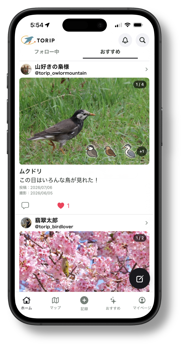 TORIPアプリのホーム画面 - 野鳥観察記録一覧