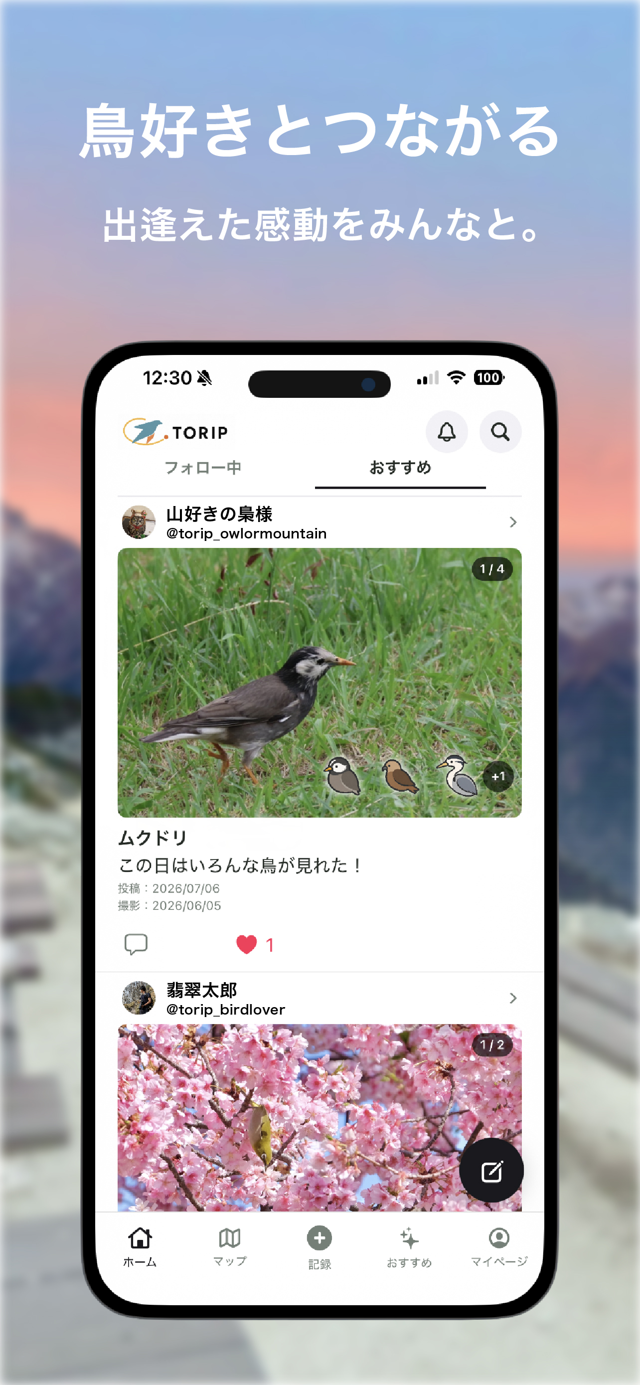 TORIPアプリ紹介画像 3